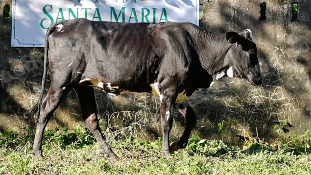 Terreno em leilao em Cachoeiras de Macacu/RJ