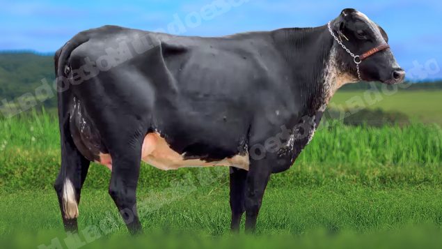 Lote em leilao em São Pedro do Suaçuí/MG - Lote 16