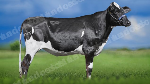 Lote em leilao em Igaratinga/MG - Lote 15