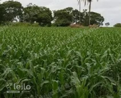 Imovel rural em leilao em Bela Vista de Goiás/GO