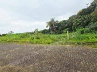 Terreno de 1386 m2 em leilão em Coqueiro Seco/AL