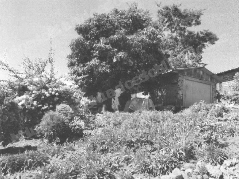 Terreno em leilao em Palmitos/SC