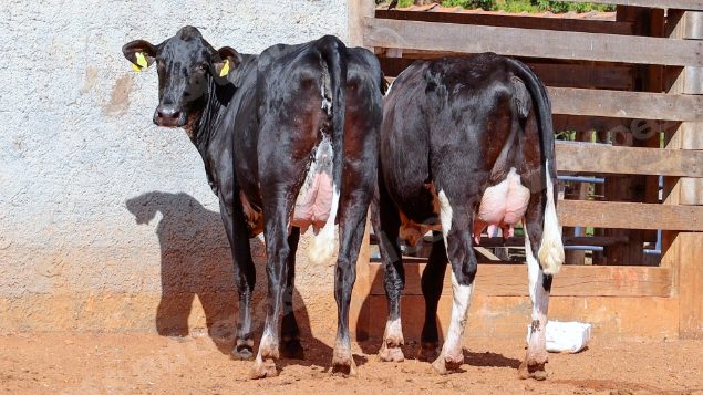 Lote em leilao em Cristalina/GO