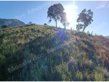 Imovel em leilao em Baependi/MG