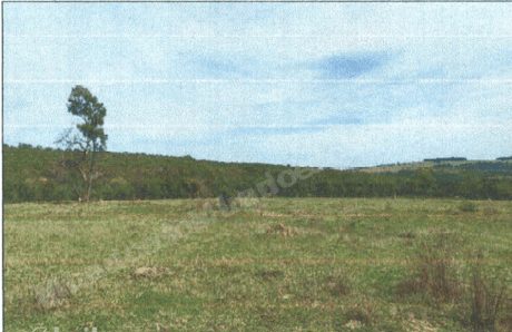 Imovel rural em leilao em Caiapônia/GO