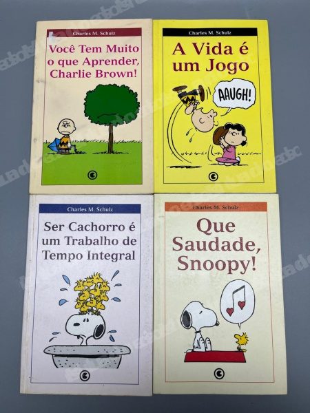 Lote em leilao em Brasil