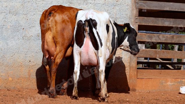 Lote em leilao em Cristalina/GO