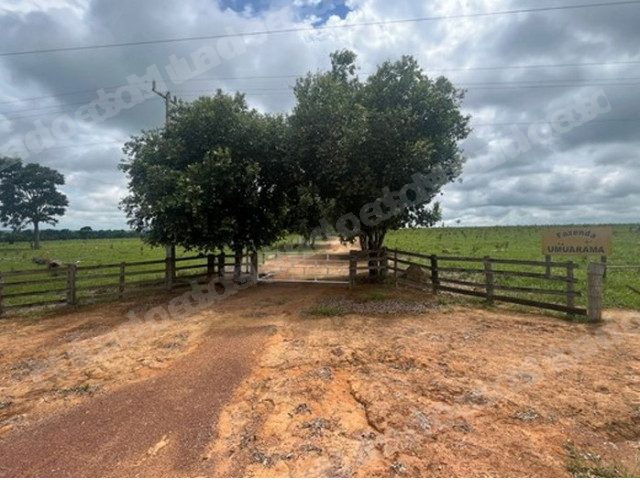 Imovel rural em leilao em Alta Floresta/MT