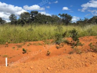 Terreno em leilão em Lagoa Santa/MG - Lote 3