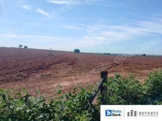 Terreno em leilão em Arealva/SP - Lote 7