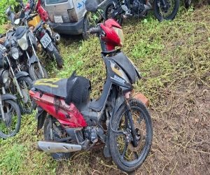 Lote em leilao em Brasil