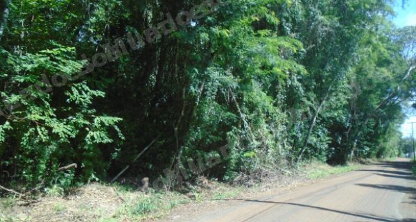 Imovel em leilao em Foz do Iguaçu/PR