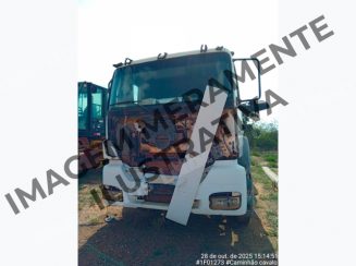 Mercedes Axor 2009 em leilao em Brasil