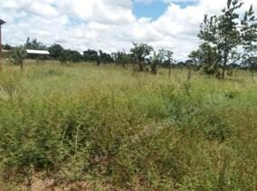 Terreno em leilao em Esquerda/AP