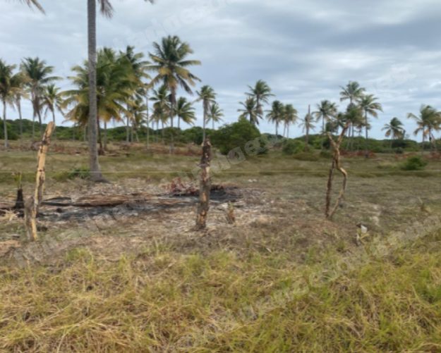 Terreno de 300 m2 em leilao em Itaporanga D'ajuda/SE