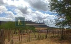 Imovel rural em leilao em Ipubi/PE
