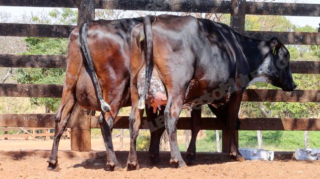 Lote em leilao em Cristalina/GO