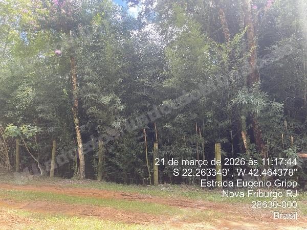Terreno em leilao em Nova Friburgo/RJ