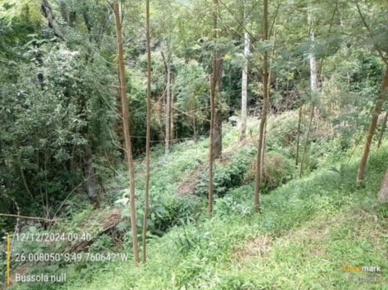 Terreno em leilao em Tenente/PR
