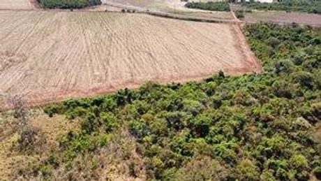 Imovel rural em leilao em Rio Verde/GO