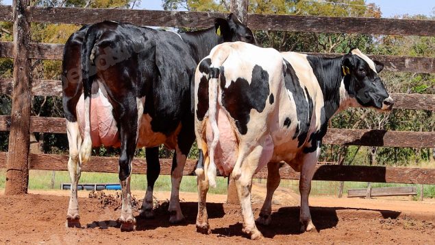 Lote em leilao em Cristalina/GO
