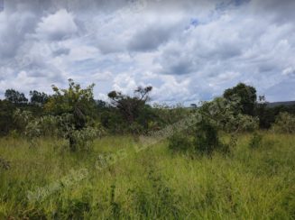 Terreno em leilão em Caetanópolis/MG - Lote 97