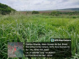 Terreno em leilao em Sul/MS