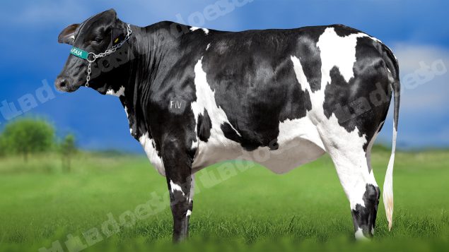 Lote em leilao em Miradouro/MG
