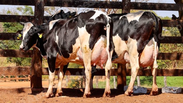 Lote em leilao em Cristalina/GO