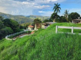 Imovel rural em leilao em Capitolio/MG - Lote 5