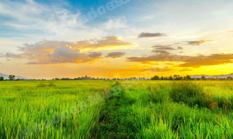 Imóvel rural em leilão em Juiz de Fora/MG - Lote 2