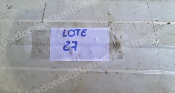 Lote em leilao em São Carlos/SP