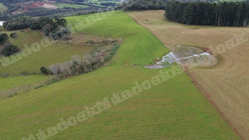 Imóvel rural em leilão em Anita Garibaldi/SC