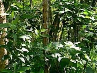 Terreno em leilao em Valinhos/SP