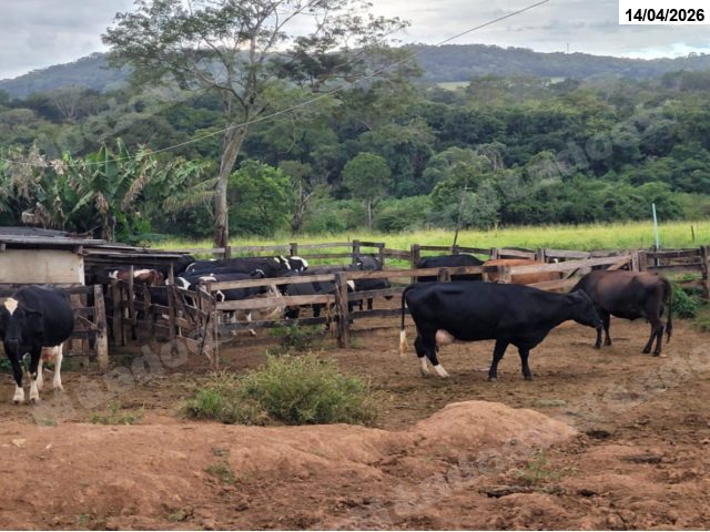 Imovel rural em leilao em Anápolis/GO