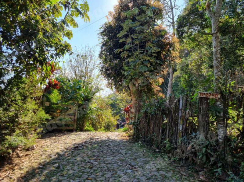 Imovel rural em leilao em Juiz de Fora/MG