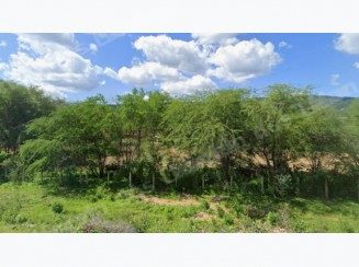 Imovel rural em leilao em Areia de Baraúnas/PB