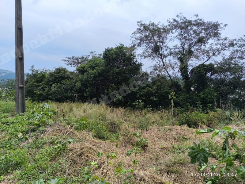 Terreno de 584 m2 em leilao em Concórdia/SC