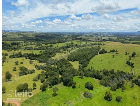 Terreno em leilao em Iporá/GO