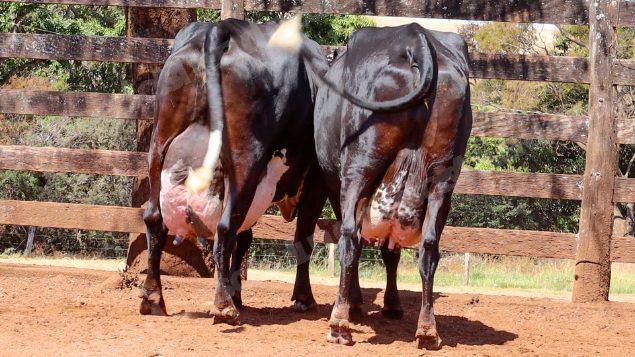 Lote em leilao em Cristalina/GO