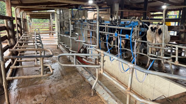 Lote em leilao em Uberaba/MG - Lote 16
