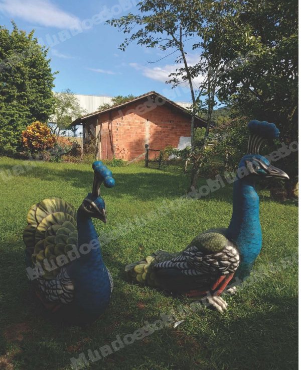 Lote em leilao em Brasil