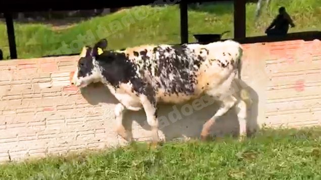 Lote em leilao em Silveiras/SP