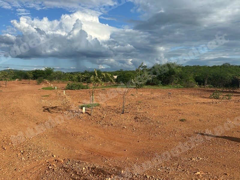 Terreno em leilao em Carnaíba/PE