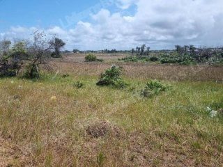 Terreno em leilao em Itaporanga D'ajuda/SE