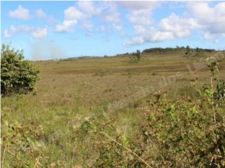 Imovel rural em leilao em Camacari/BA