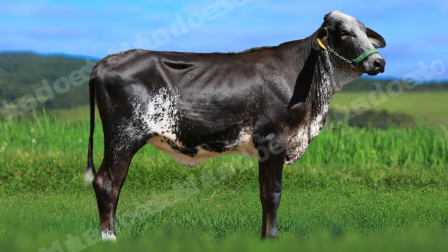 Veiculo em leilao em Estrela do Indaiá/MG - Lote 6