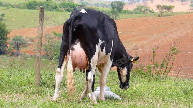 Lote em leilão em Dores do Indaiá/MG - Lote 10