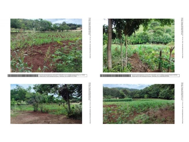 Terreno de 29000 m2 em leilão em Santa Izabel do Oeste/PR