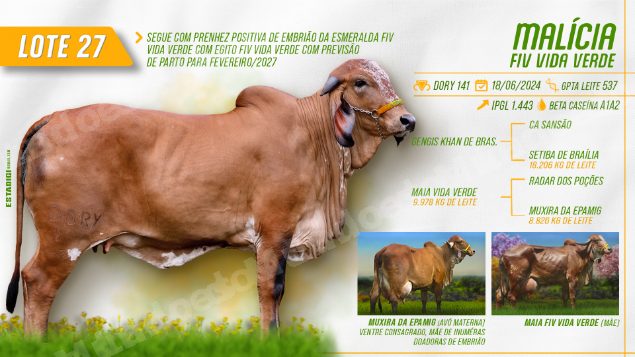 Lote em leilão em Jales/SP - Lote 14